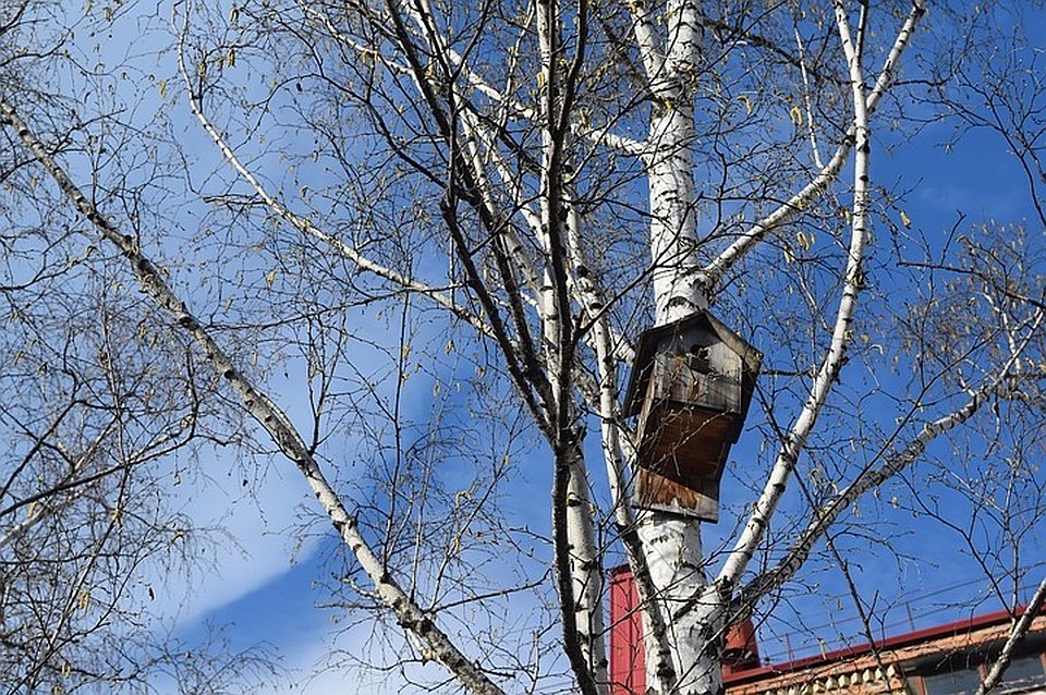 Погода 6 апреля в Тюмени: солнечно и тепло