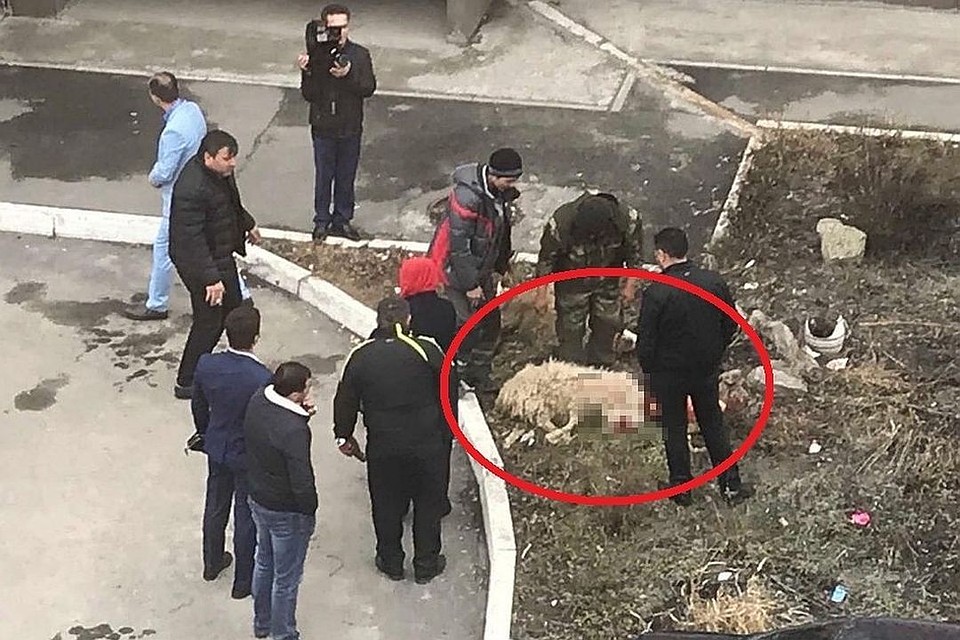 Жертвоприношение в городе возмутило жителей Новосибирска.