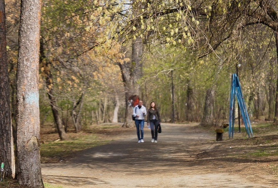 Парк обновят к зиме будущего года
