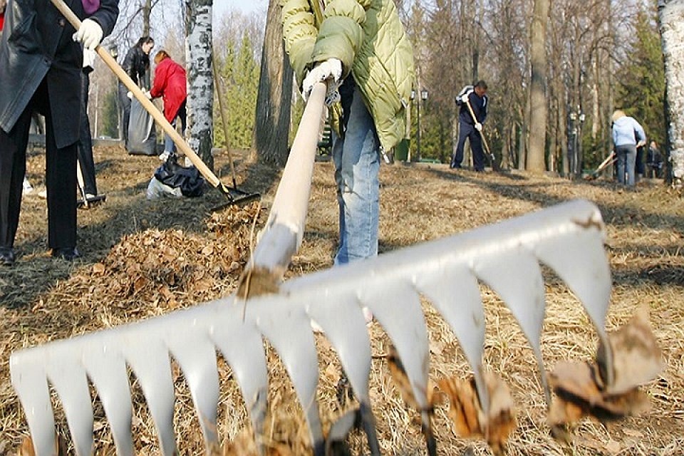 По планам чиновников, в общегородском субботнике должны принять участие не менее 200 тысяч местных жителей.