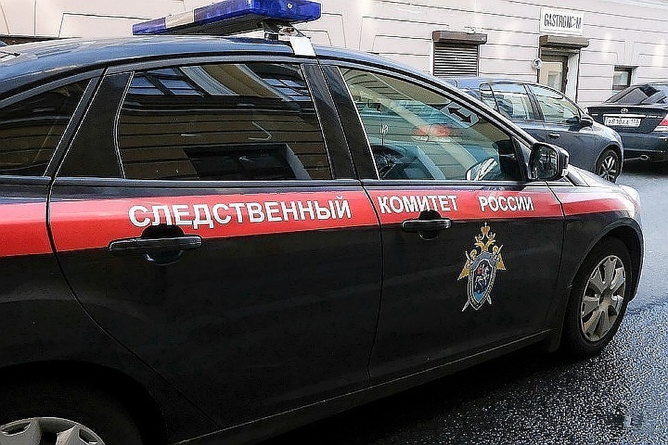 Организована доследственная проверка.
