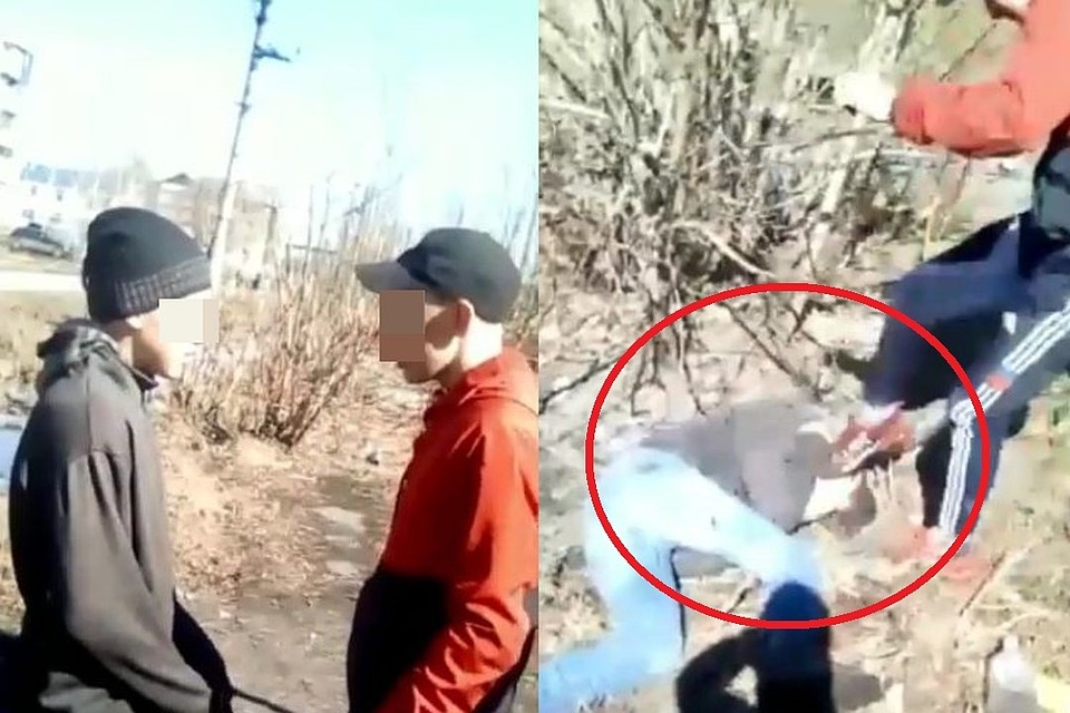 Подростки сами наснимали на себя компромат.