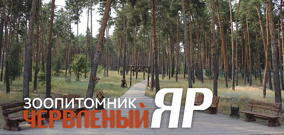фото с сайта Воронежского зоопарка