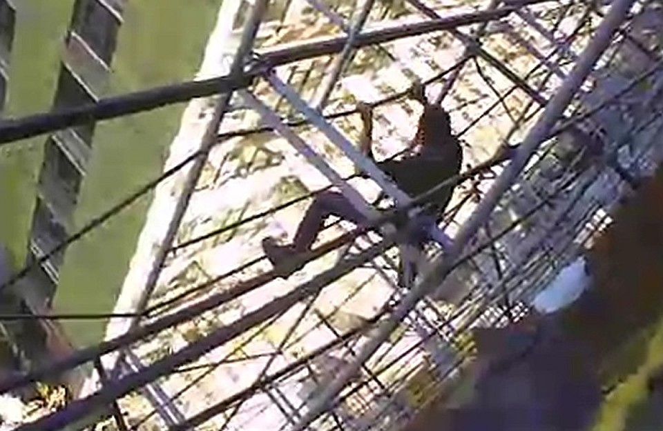 Фото: скриншот видео