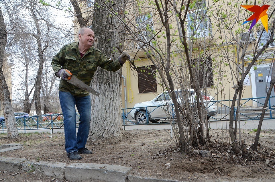 Волгоградцы вышли на субботник.