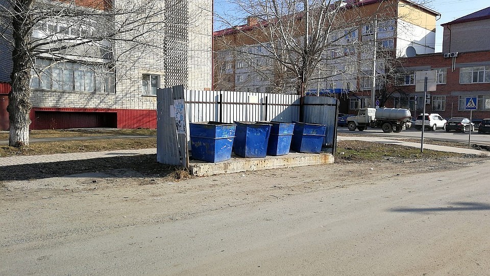 Тюменцам запретили выбрасывать ветки и листву в баки для бытовых отходов