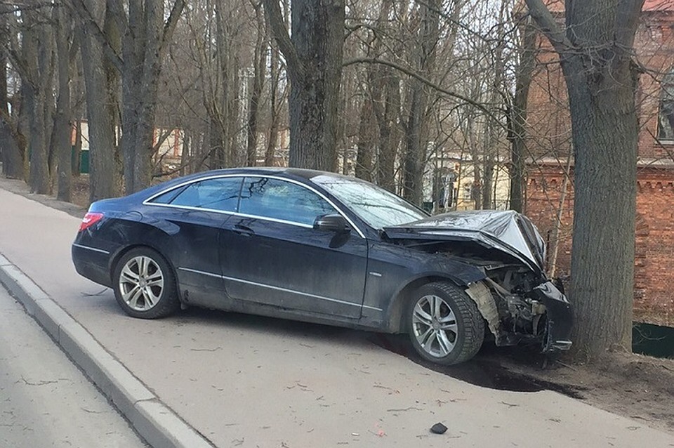 В Сестрорецке "Мерседес" влетел в дерево. Фото: vk.com/spb_today