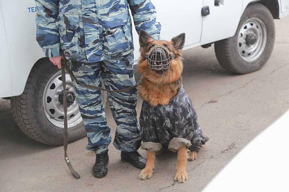Поиски остальных беглецов продолжаются