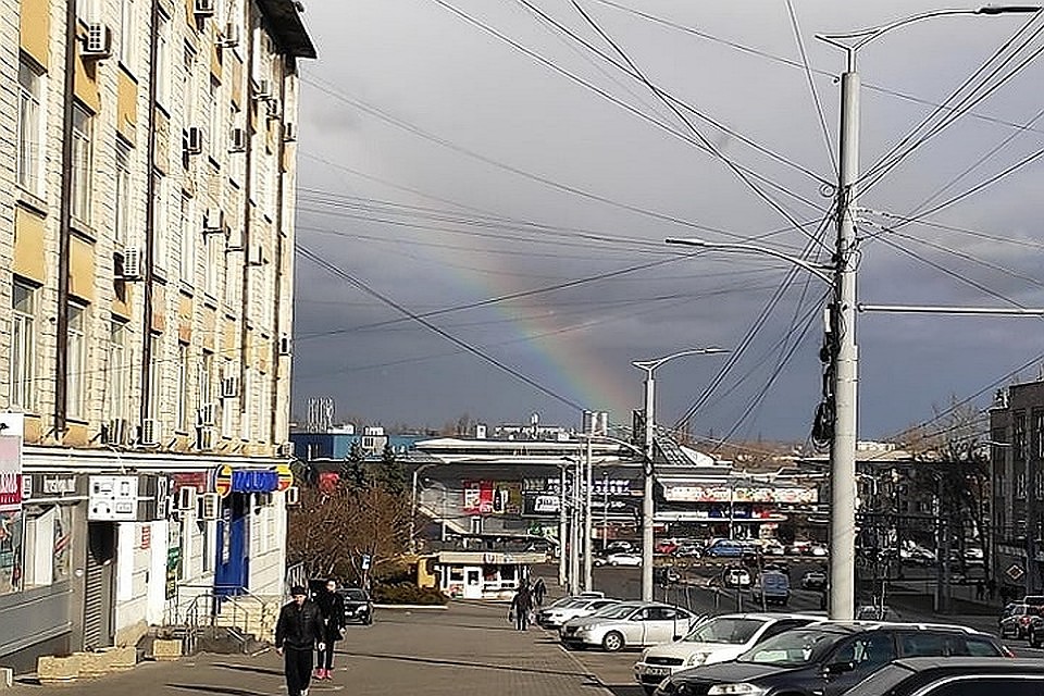 Не удалась в этом году вена, не удалась