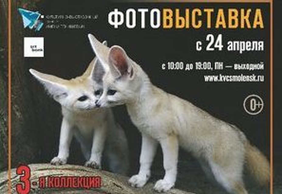 ФОТО: kvcsmolensk.ru