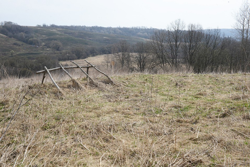 ФОТО:admin-smolensk.ru