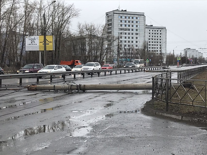 Фото: соцсети