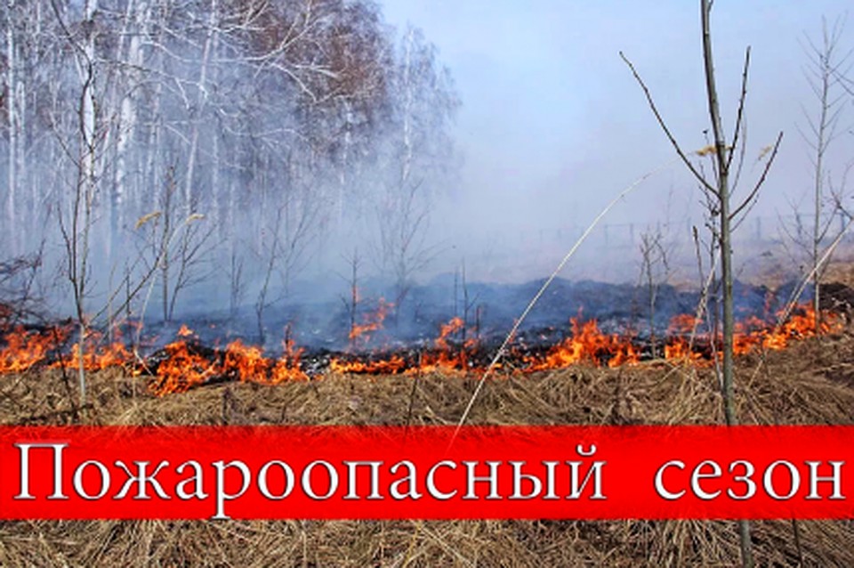 В тюменских лесах объявлен пожароопасный сезон. Фото ГУ МЧС по Тюменской области