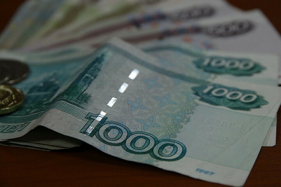 На Кубани пограничники оштрафовали фирму за нарушение режима государственной границы
