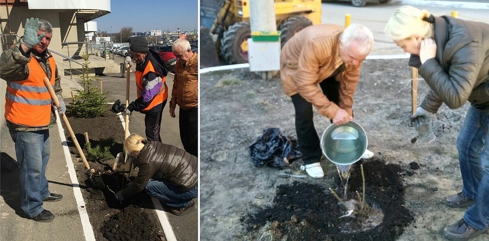 В Новой Самаре высадили розы