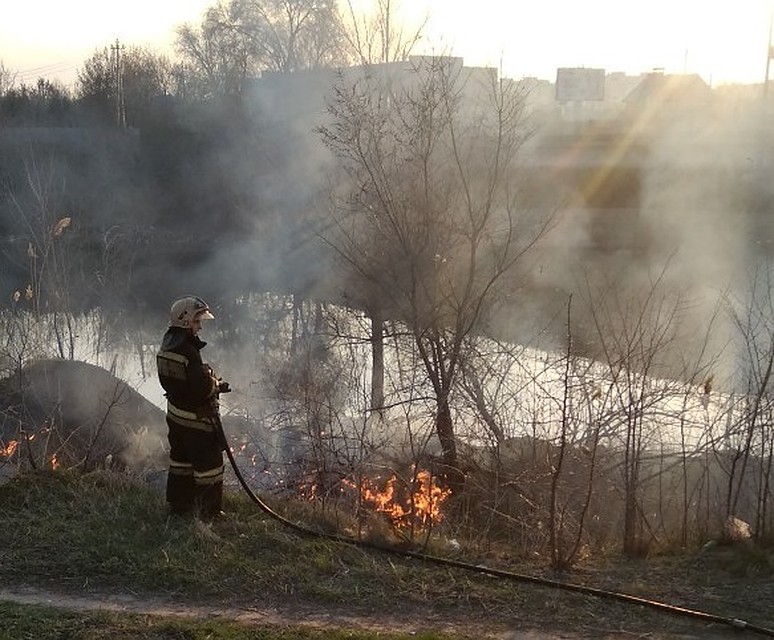 Пожар на берегу Канала в Балаково. Фото соцсетей