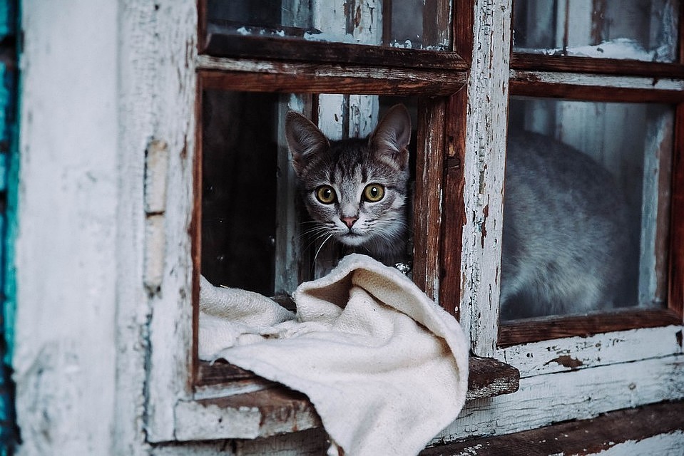 Фото: Архив "КП"