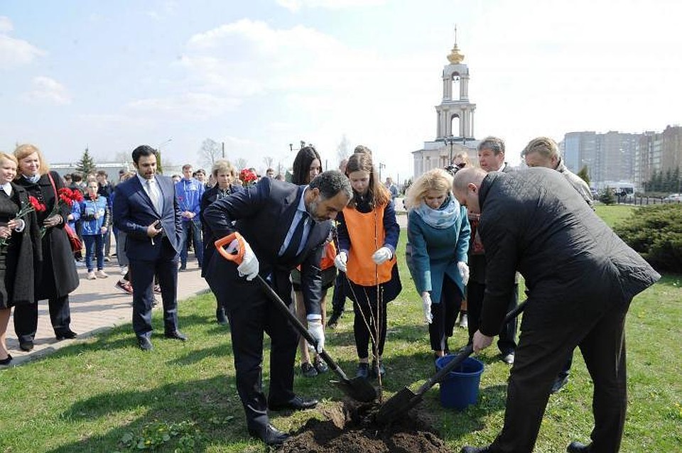 Посадка яблони на Триумфальной Арке
