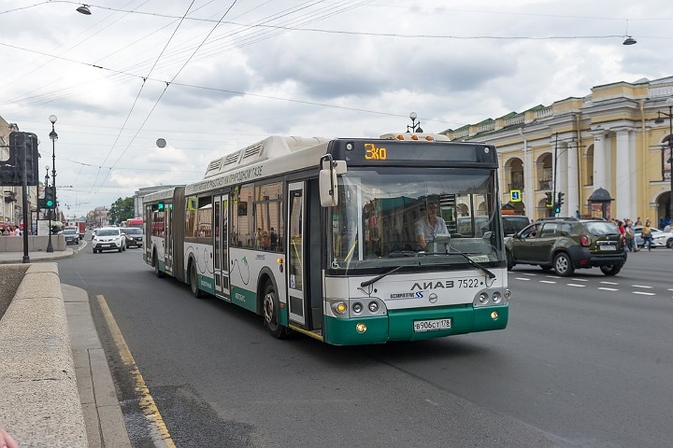 В Петербурге начинается сезон ночных автобусов.