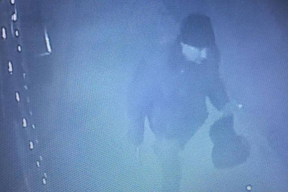 Напавший с ножом мужчина попал на камеру видеонаблюдения. Фото и видео: МВД по Новосибирской области.