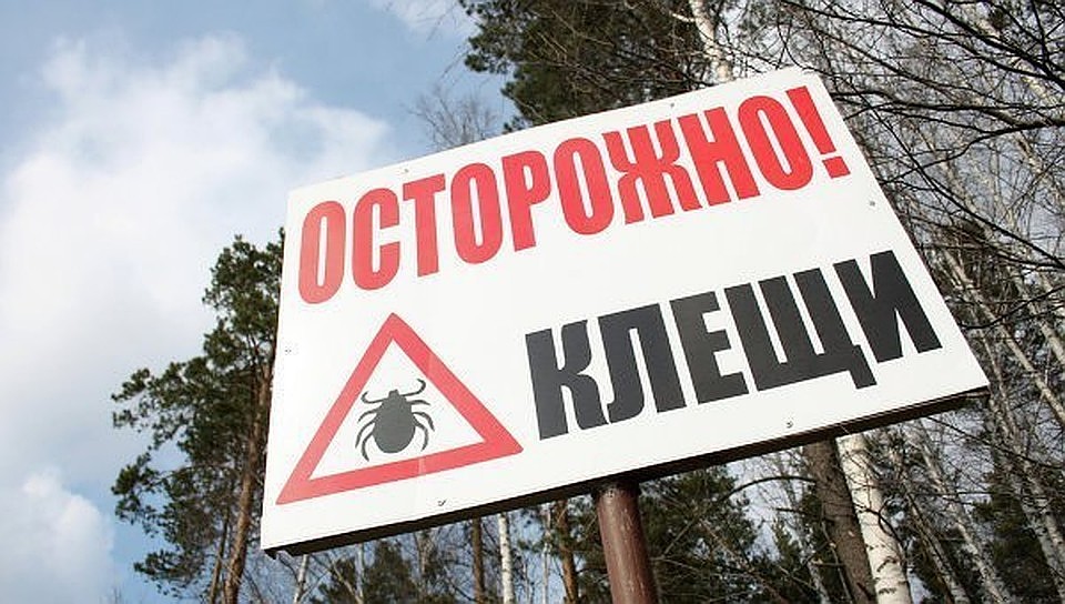 Фото: архив редакции