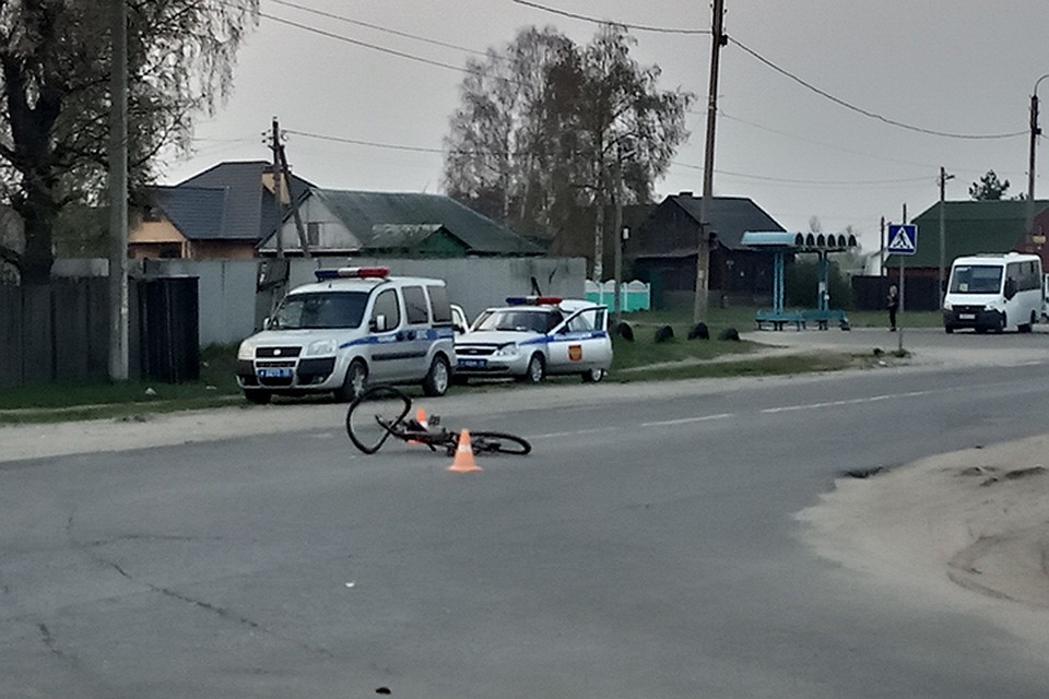 Фото: vk.com, "Типичный Брянск".