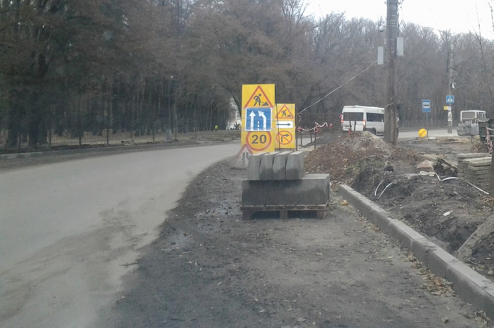 Всего в Воронеже полное обновление получат 23 улицы