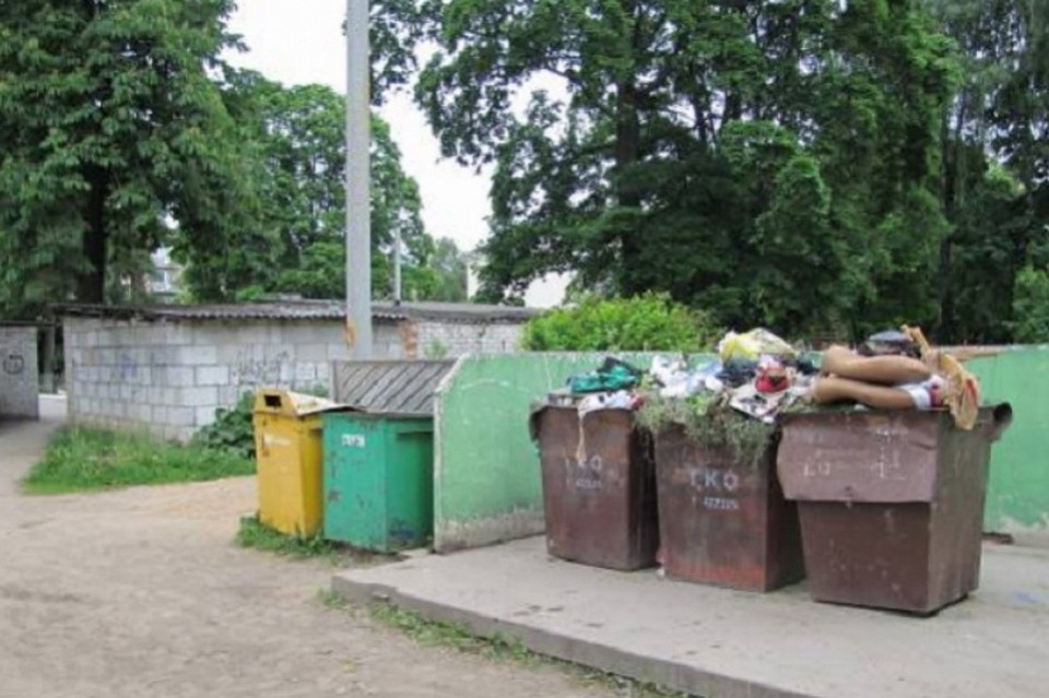 В мусорном контейнере ребенок умер от переохлаждения. Фото: СК