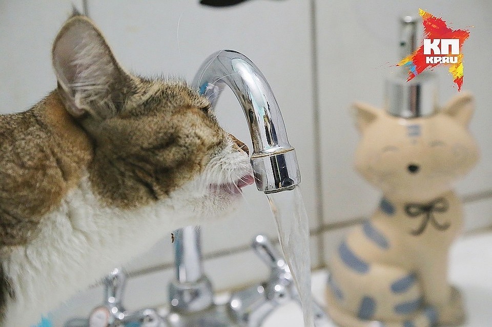 В Сыктывкаре начнут отключать горячую воду