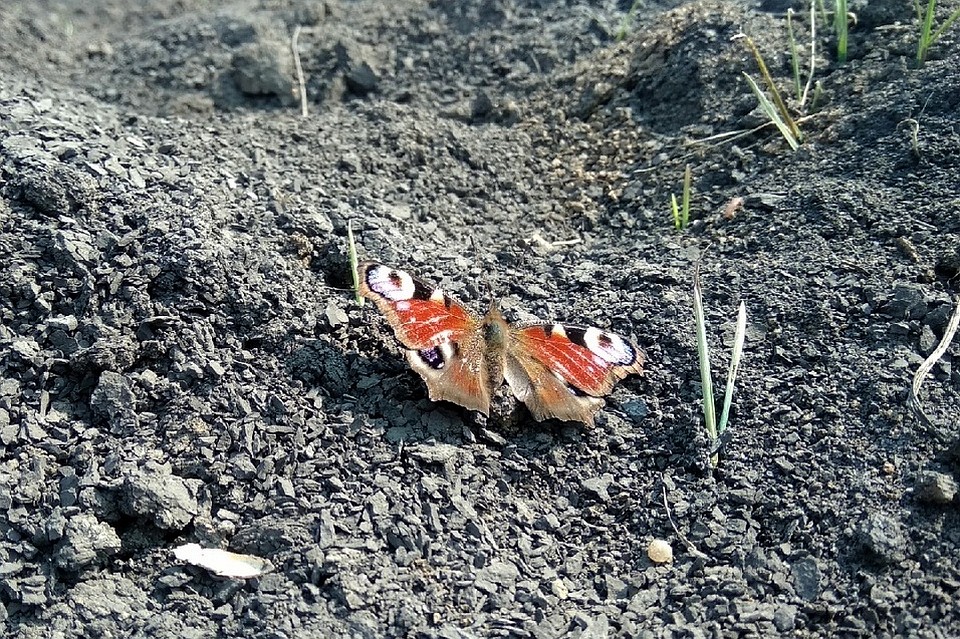 В Липецке тепло