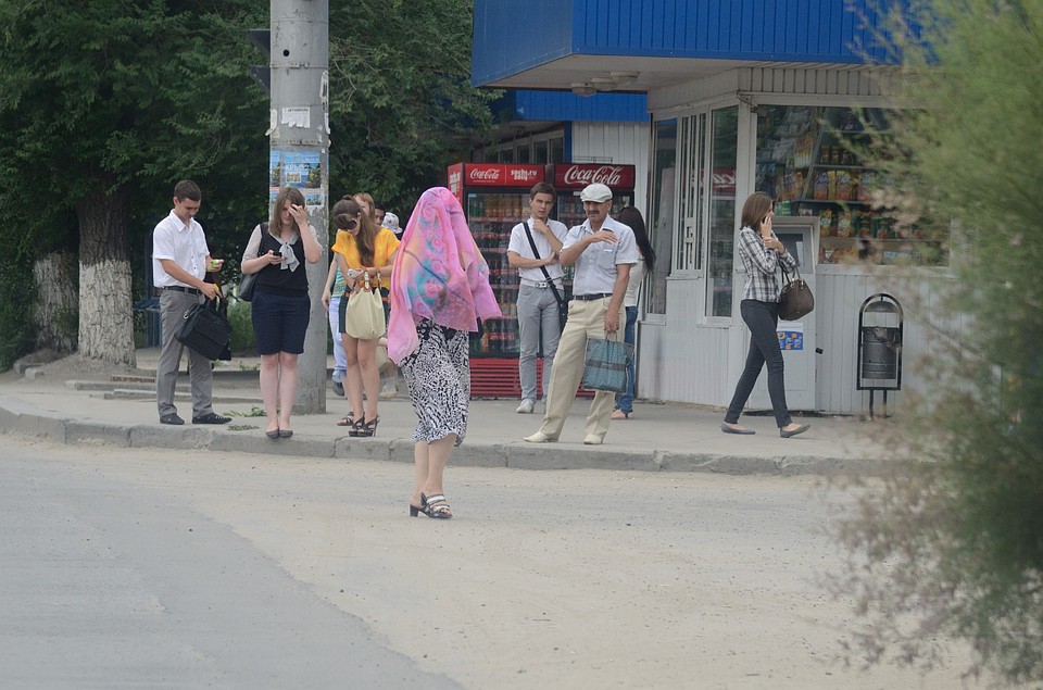 Мошка вернулась в Волгоград.