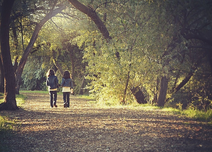 Фото: pixabay.com