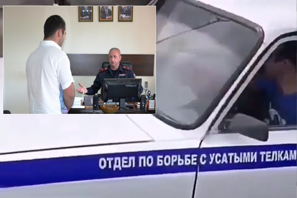 Парень признал вину и извинился