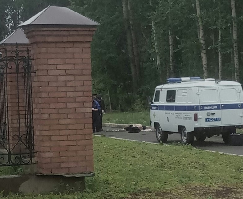 Фото: соцсети