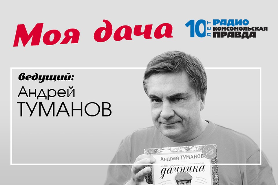 Главный дачник страны Андрей Туманов рассказывает, какие работы сейчас нужны в саду и огороде