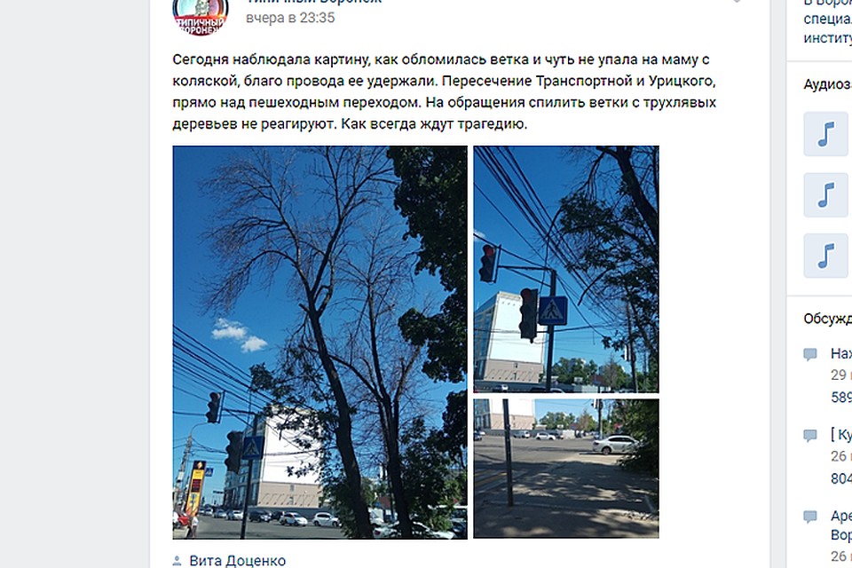 Если бы не провода, могла случиться трагедия.
