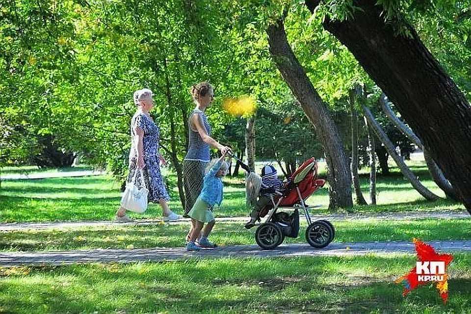 Счастливых семей становится больше.