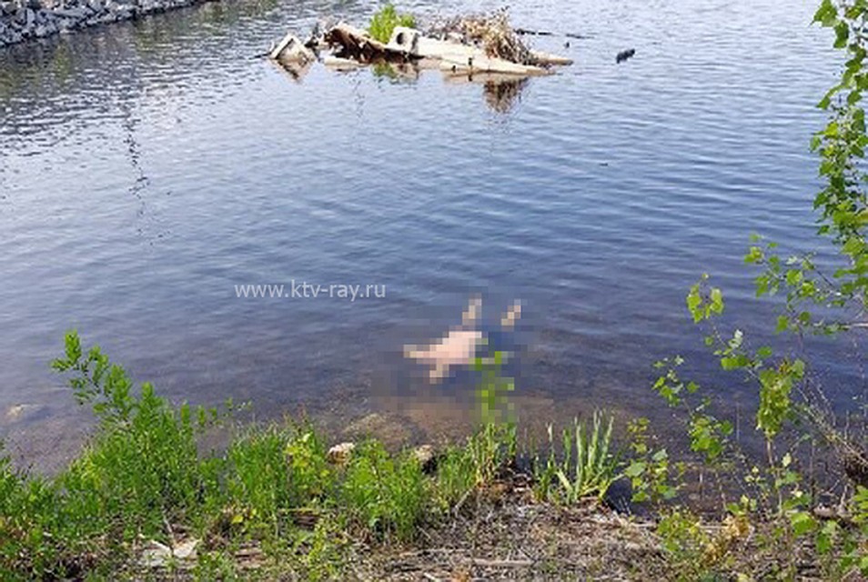 Тело мужчины нашли в воде за волнорезом / Фото: КТВ-Луч