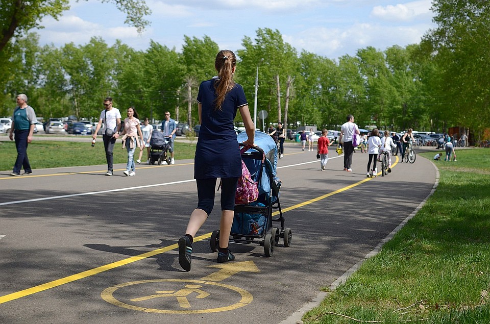 В Красноярске в день города на Татышев будут ходить бесплатные автобусы