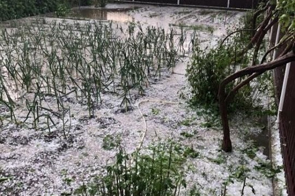 Дожди затопили десятки хозяйств (Фото: noi.md).