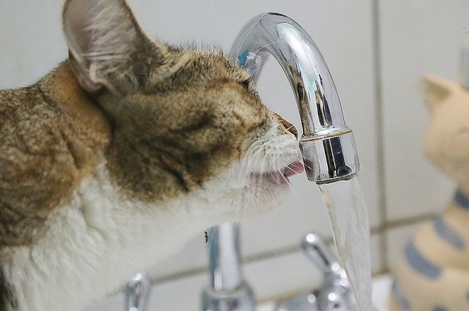 В Хабаровске назревает проблема с очисткой питьевой воды
