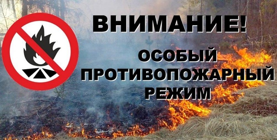 Фото пресс-службы управления лесами Белгородской области.