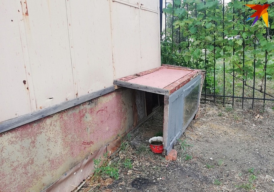 Больше Барон в свою будку не вернется