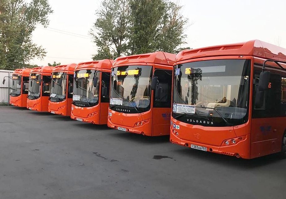 Новые автобусы. Фото: "Ипопат-Юг".
