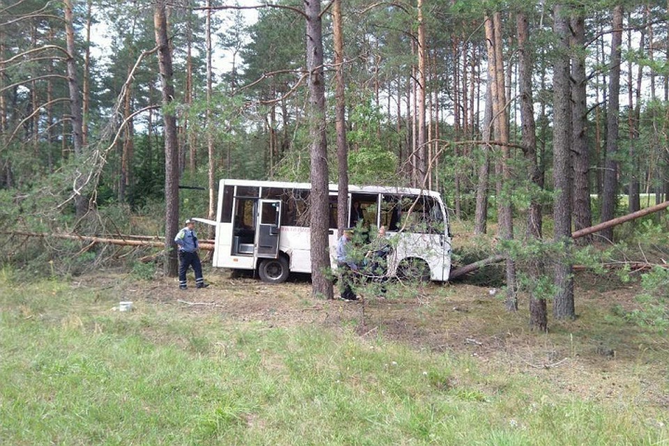 Автобус выехал на обочину и врезался в дерево. Фото: УВД Минского облисполкома.