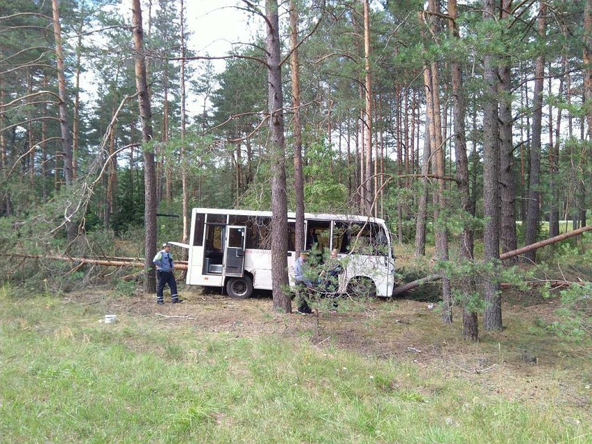 Водителю стало плохо за рулем, он успел остановить автобус, тот съехал в кювет и врезался в дерево Фото:minobl.mvd.gov.by