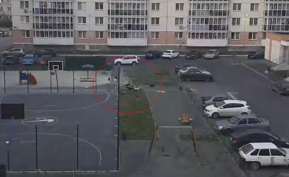 Инцидент произошел на детской площадке.