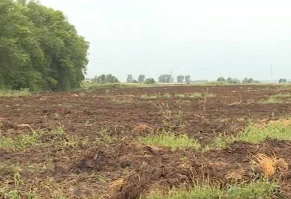 Фото: скриншот видео сюжета телеканала «Вся Уфа»