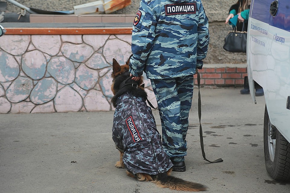 В Хакасии бабушка сумела отбиться от напавшего на нее 21-летнего насильника.