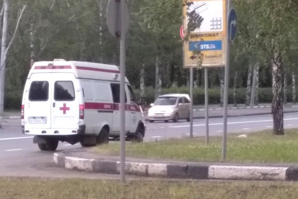 На детской площадке в Кемерове змея укусила ребенка